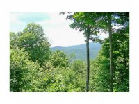 1094 East Ash Road