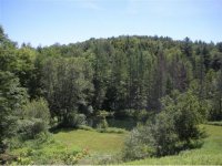 1021 Randall Road