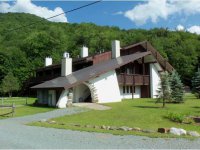 2358 Route 100 Wintergreen