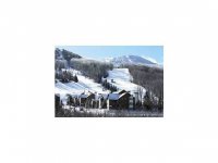 I103 Brad Mead Drive Pico Slopeside