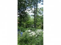 187 Alpine Drive Pico Village