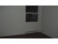 39 Silver Birch