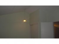 39 Silver Birch