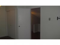 39 Silver Birch