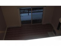 39 Silver Birch