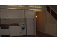 39 Silver Birch