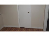 39 Silver Birch