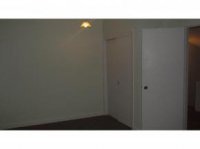 39 Silver Birch