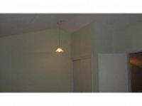 39 Silver Birch