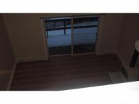 39 Silver Birch