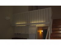 39 Silver Birch