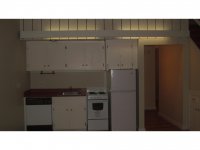39 Silver Birch