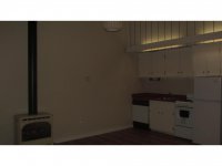 39 Silver Birch