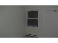 39 Silver Birch