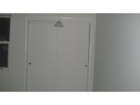 39 Silver Birch