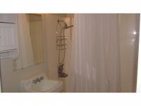 39 Silver Birch