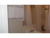 39 Silver Birch