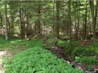 2813 Furnace Brook Road
