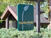 15 Barleyfield
