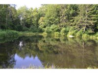 16 Estabrook
