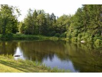 16 Estabrook