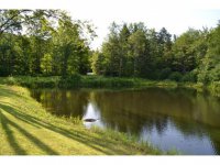 16 Estabrook