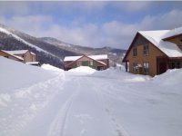 31 Tacoma Way, Unit 35B