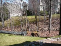 782 East Mountain Fall Line