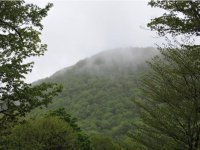 670 Old Coach Road Robinwood