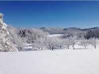 89 Mountain Spring