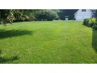 328 Blue Ridge Drive
