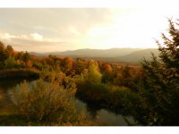 1074 North Hollow