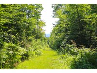 881 Johnson Farm
