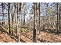 881 Johnson Farm