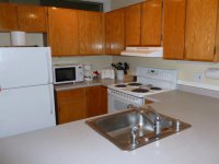 255 Old Mill Pinnacle