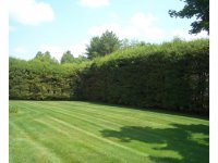 40 Hillside