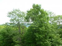 118 High Ridge Highridge