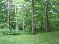 907 East Mountain Whiffletree