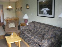 255 OLD MILL Pinnacle