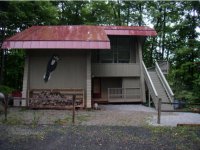 532 Tanglewood