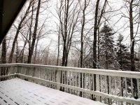 532 Tanglewood