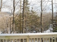 532 Tanglewood