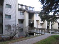 203 Old Mill Pinnacle