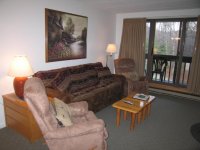 203 Old Mill Pinnacle