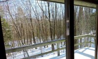 573 Tanglewood