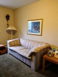 80 Fern Killingon-Pico View