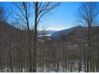 225 Falcon Ridge Hawk