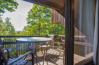 225 Falcon Ridge Hawk