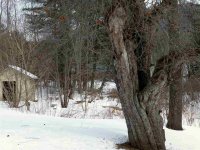 123 South Mendon
