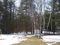 72 Georgeanna Colonial Estates Subdivision